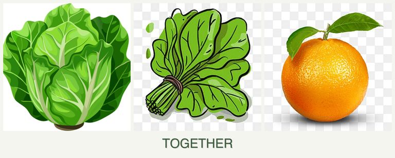 Can you plant lettuce, spinach and oranges together?