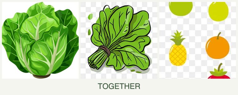 Can you plant lettuce, spinach and pears together?