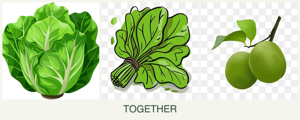 Can you plant lettuce, spinach and plums together?
