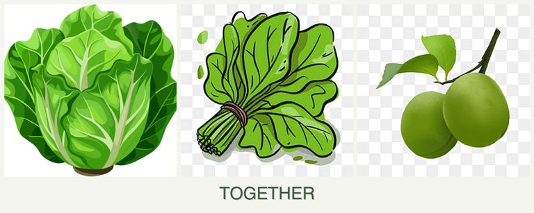 Can you plant lettuce, spinach and plums together?