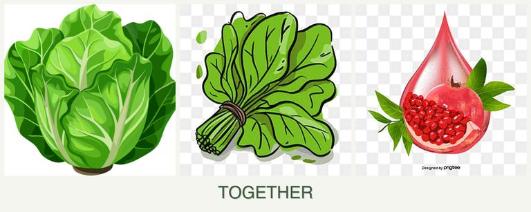 Can you plant lettuce, spinach and pomegranates together?