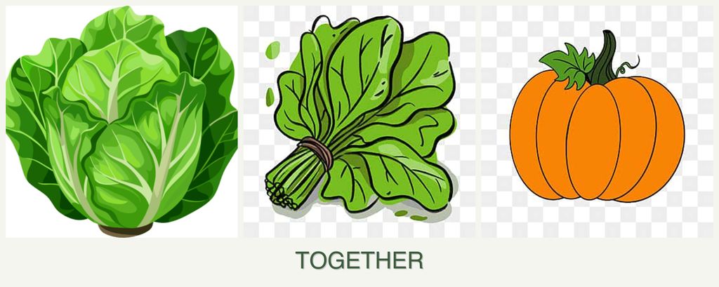Can you plant lettuce, spinach and pumpkin together?