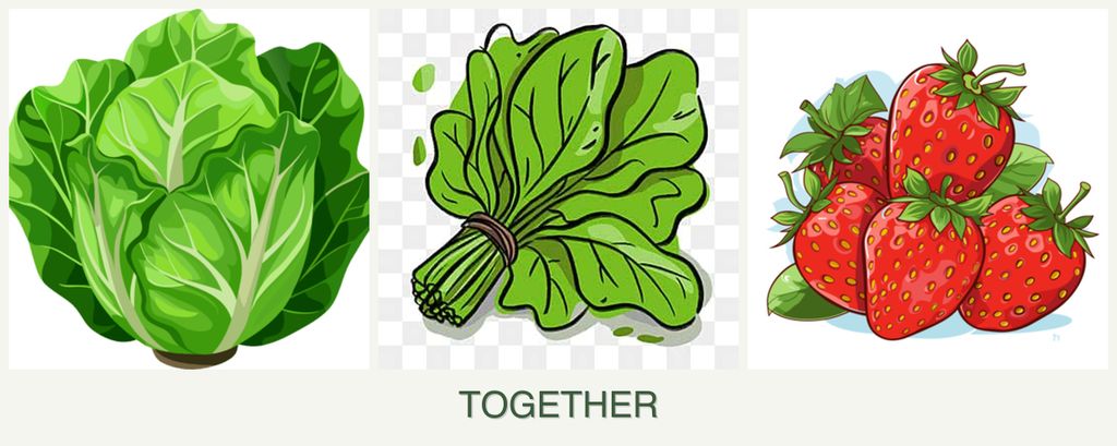 Can you plant lettuce, spinach and strawberries together?