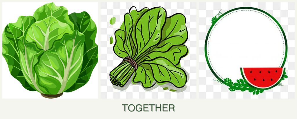 Can you plant lettuce, spinach and watermelons together?