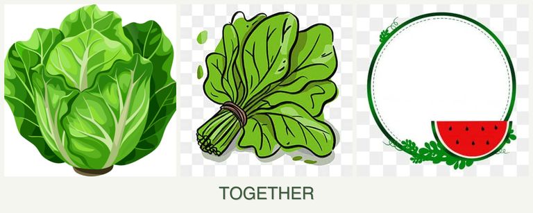 Can you plant lettuce, spinach and watermelons together?