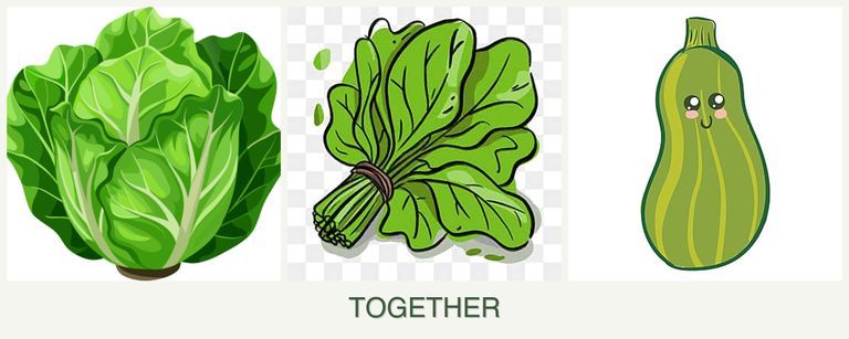 Can you plant lettuce, spinach and zucchini together?