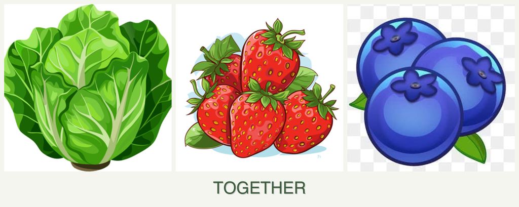 Can you plant lettuce, strawberries and blueberries together?