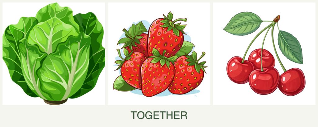 Can you plant lettuce, strawberries and cherries together?