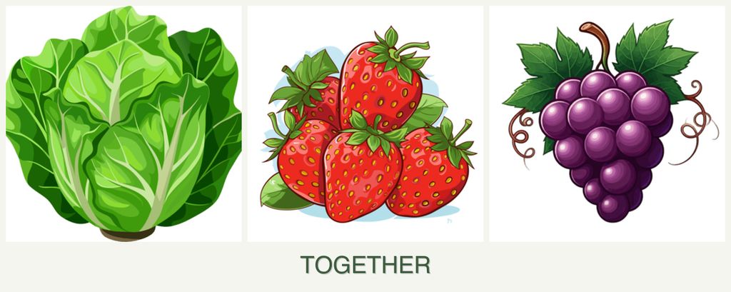 Can you plant lettuce, strawberries and grapes together?