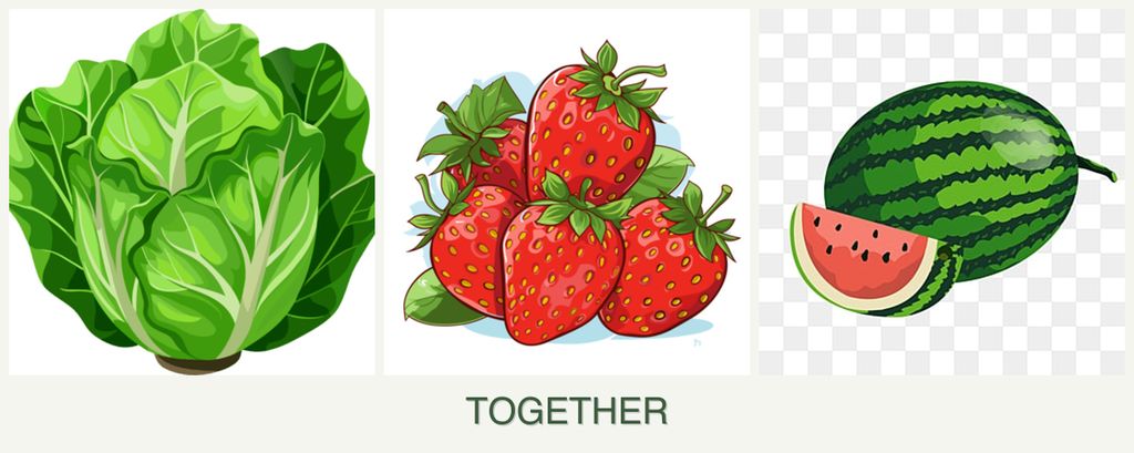 Can you plant lettuce, strawberries and melons together?