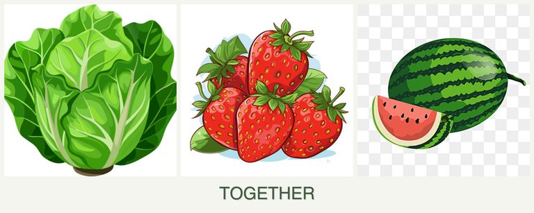Can you plant lettuce, strawberries and melons together?