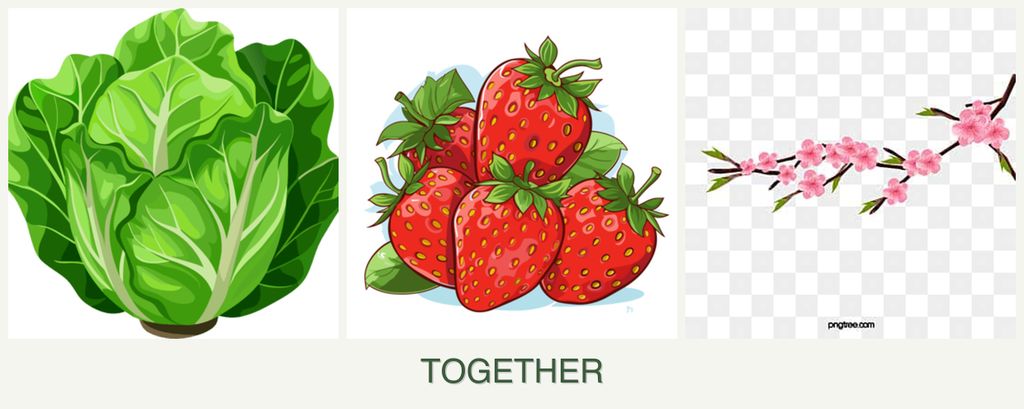 Can you plant lettuce, strawberries and peaches together?