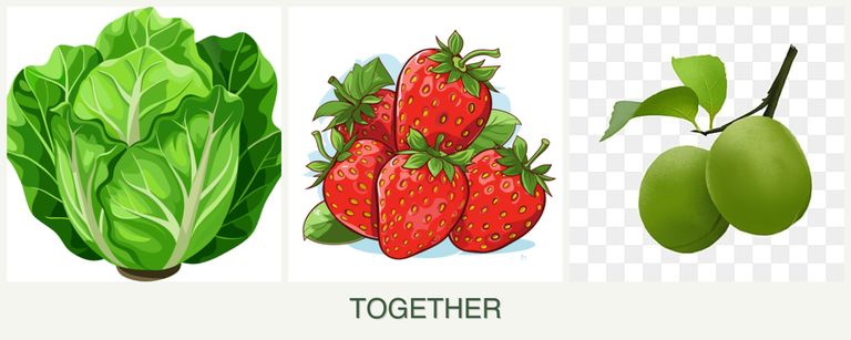 Can you plant lettuce, strawberries and plums together?