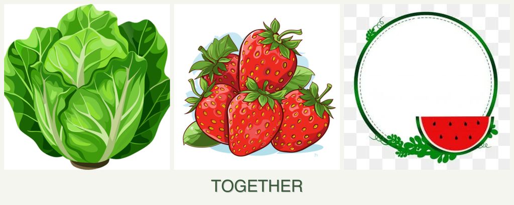 Can you plant lettuce, strawberries and watermelons together?