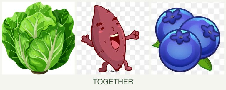 Can you plant lettuce, sweet potatoes and blueberries together?