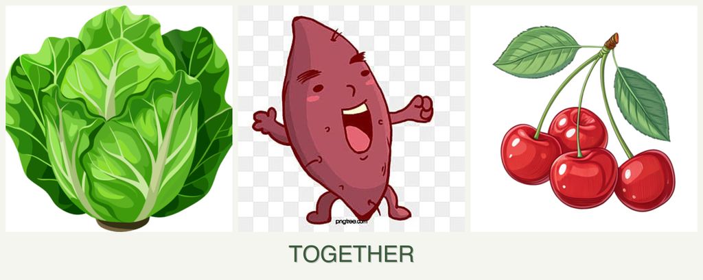 Can you plant lettuce, sweet potatoes and cherries together?