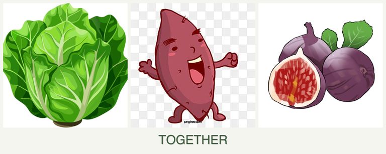 Can you plant lettuce, sweet potatoes and figs together?