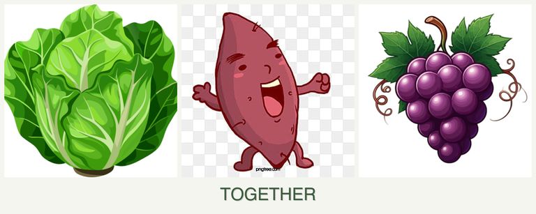 Can you plant lettuce, sweet potatoes and grapes together?