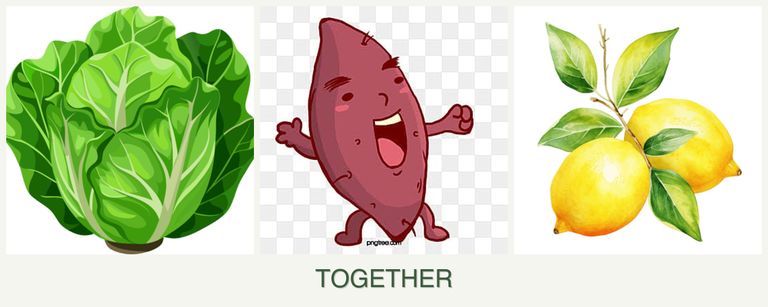 Can you plant lettuce, sweet potatoes and lemons together?