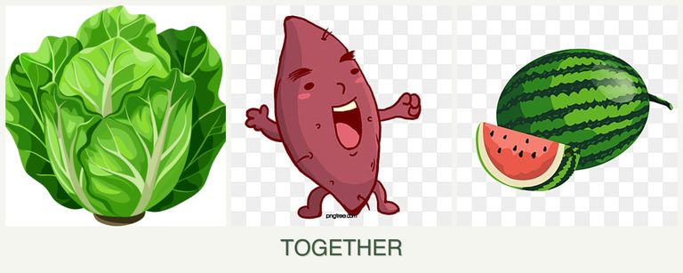 Can you plant lettuce, sweet potatoes and melons together?