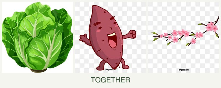 Can you plant lettuce, sweet potatoes and peaches together?