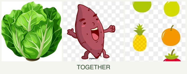Can you plant lettuce, sweet potatoes and pears together?