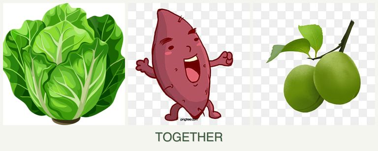 Can you plant lettuce, sweet potatoes and plums together?