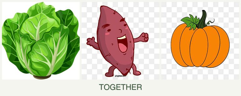 Can you plant lettuce, sweet potatoes and pumpkin together?