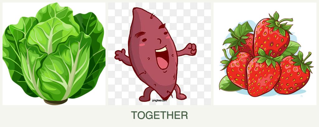 Can you plant lettuce, sweet potatoes and strawberries together?