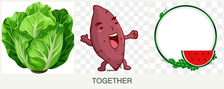 Can you plant lettuce, sweet potatoes and watermelons together?