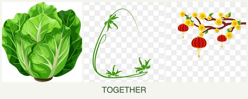 Can you plant lettuce, tarragon and apricots together?