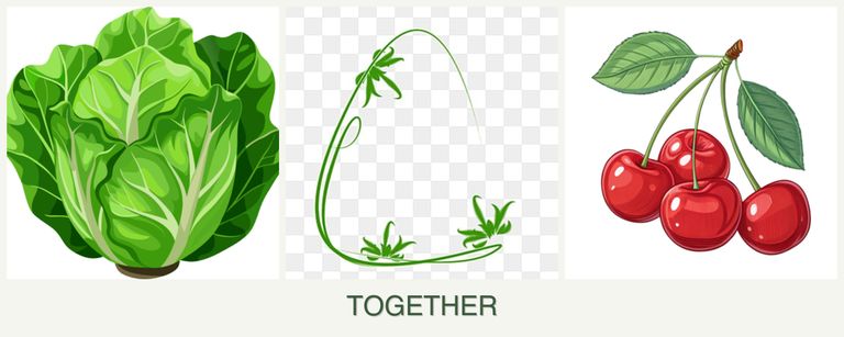 Can you plant lettuce, tarragon and cherries together?