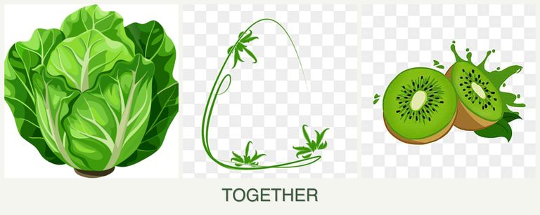 Can you plant lettuce, tarragon and kiwi together?