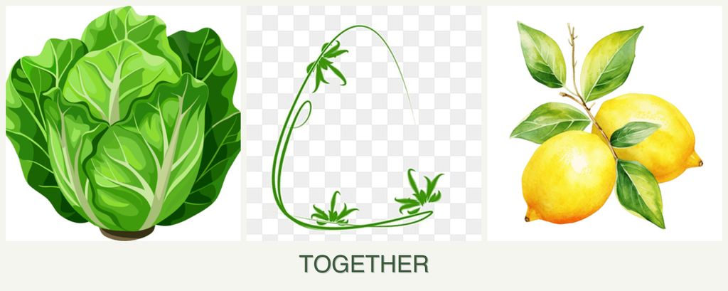 Can you plant lettuce, tarragon and lemons together?