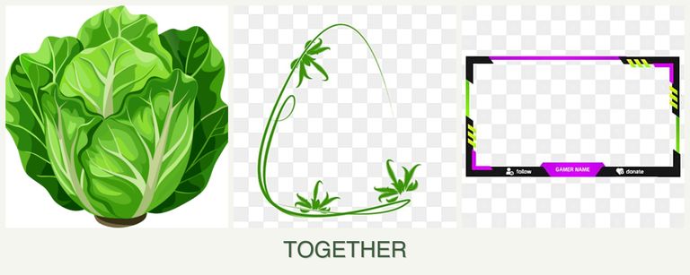 Can you plant lettuce, tarragon and limes together?