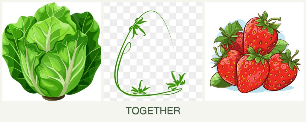 Can you plant lettuce, tarragon and strawberries together?