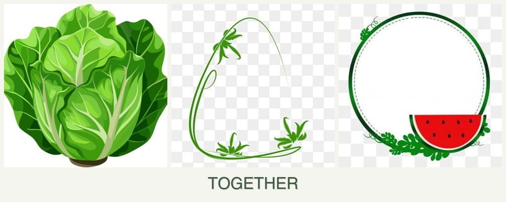 Can you plant lettuce, tarragon and watermelons together?