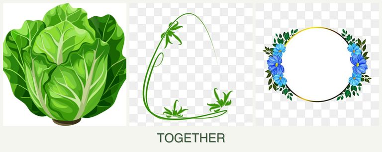 Can you plant lettuce, tarragon and zinnias together?