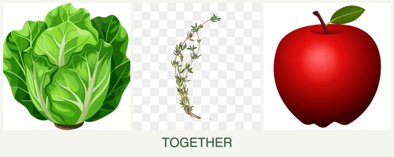 Can you plant lettuce, thyme and apples together?