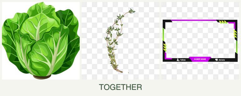 Can you plant lettuce, thyme and limes together?
