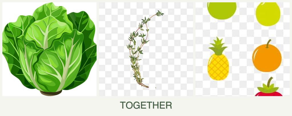 Can you plant lettuce, thyme and pears together?