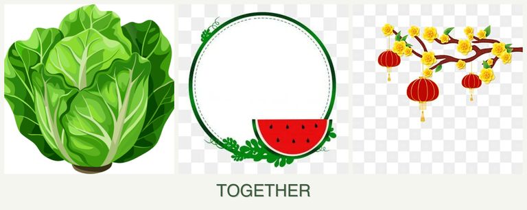 Can you plant lettuce, watermelons and apricots together?