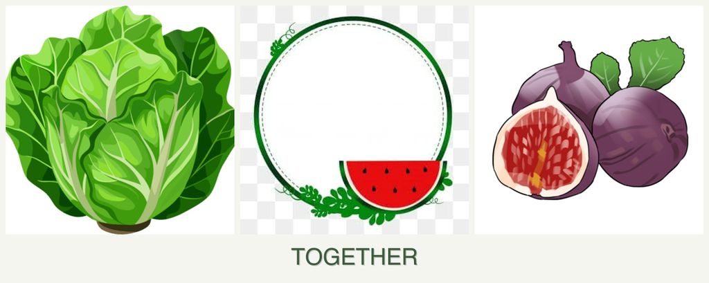 Can you plant lettuce, watermelons and figs together?