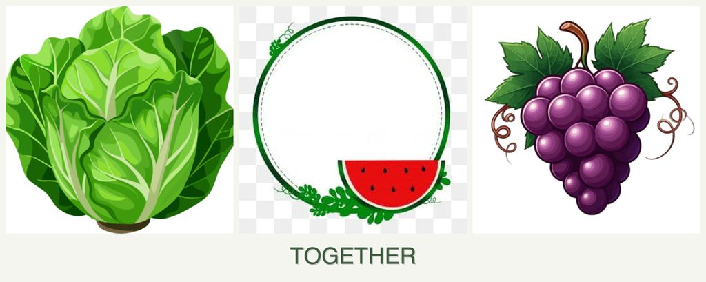 Can you plant lettuce, watermelons and grapes together?