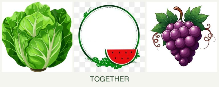 Can you plant lettuce, watermelons and grapes together?