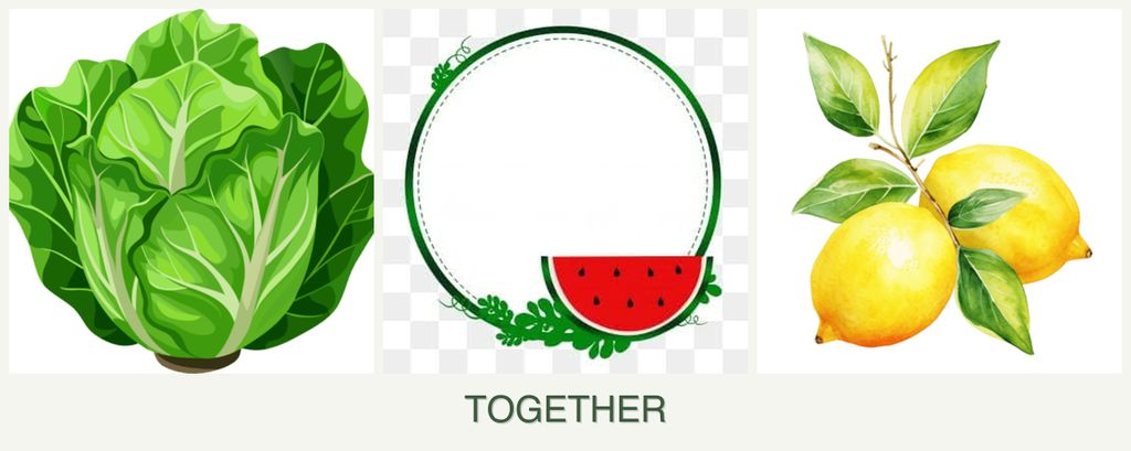 Can you plant lettuce, watermelons and lemons together?