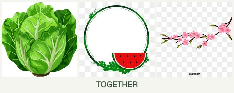 Can you plant lettuce, watermelons and peaches together?
