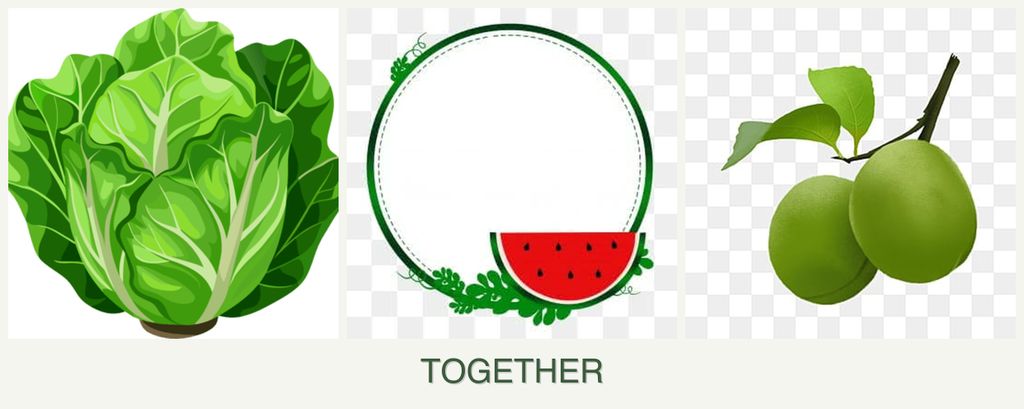 Can you plant lettuce, watermelons and plums together?
