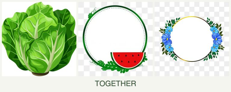 Can you plant lettuce, watermelons and zinnias together?