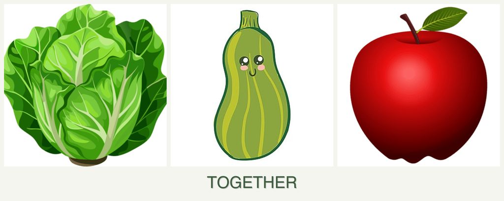 Can you plant lettuce, zucchini and apples together?